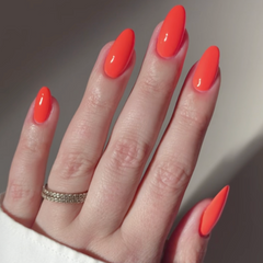 DND Sunkissed Coral Diva #210