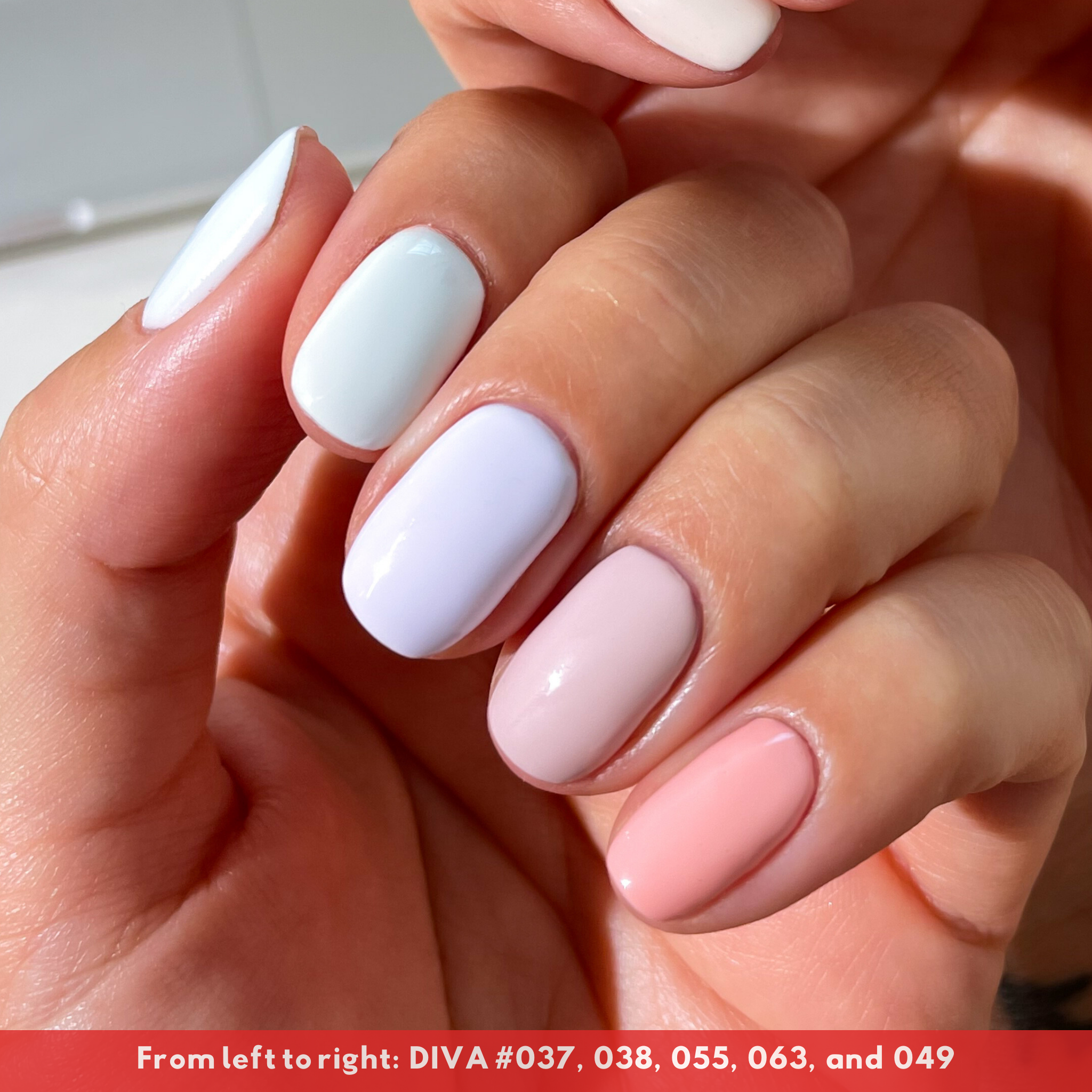 DND DIVA Frosted Chai Collection - 36 Set