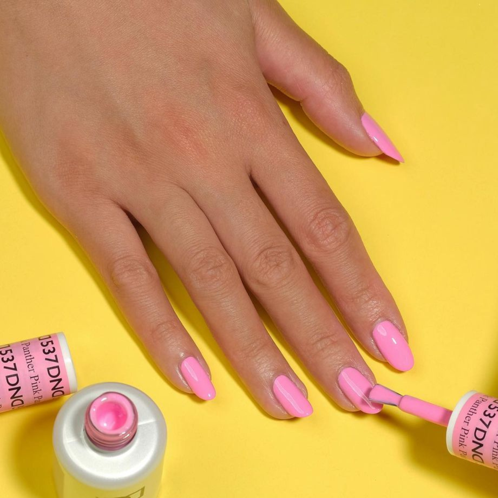 Panther Pink #537