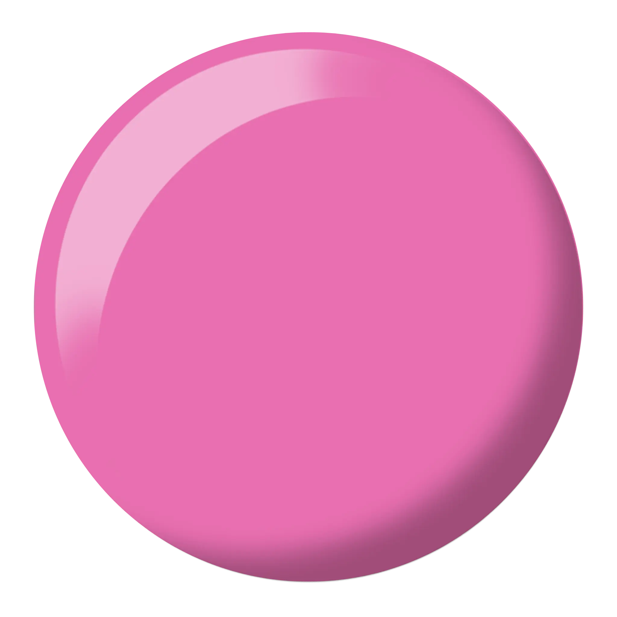 French Rose #577