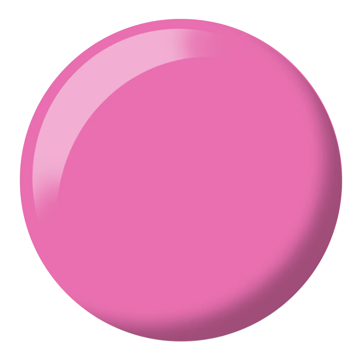 French Rose #577